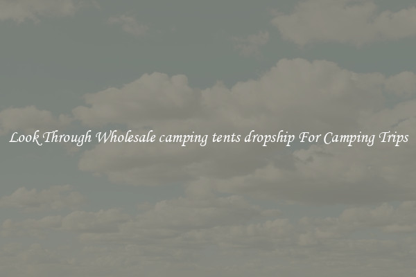 Look Through Wholesale camping tents dropship For Camping Trips