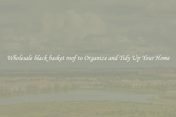 Wholesale black basket roof to Organize and Tidy Up Your Home