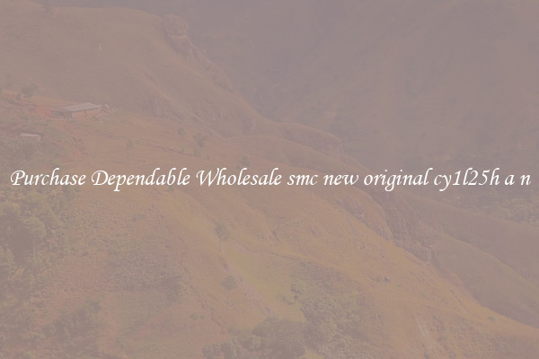 Purchase Dependable Wholesale smc new original cy1l25h a n