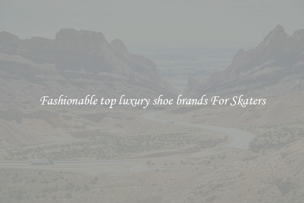 Fashionable top luxury shoe brands For Skaters