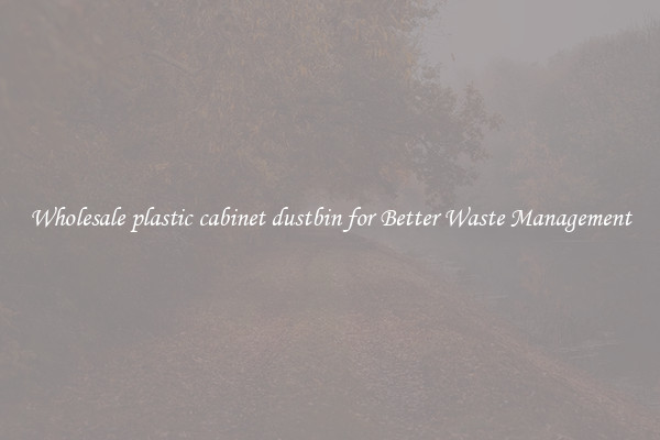 Wholesale plastic cabinet dustbin for Better Waste Management