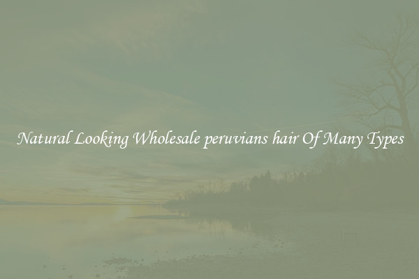 Natural Looking Wholesale peruvians hair Of Many Types