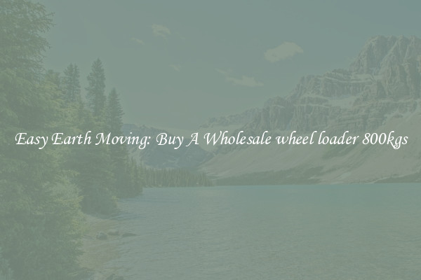 Easy Earth Moving: Buy A Wholesale wheel loader 800kgs