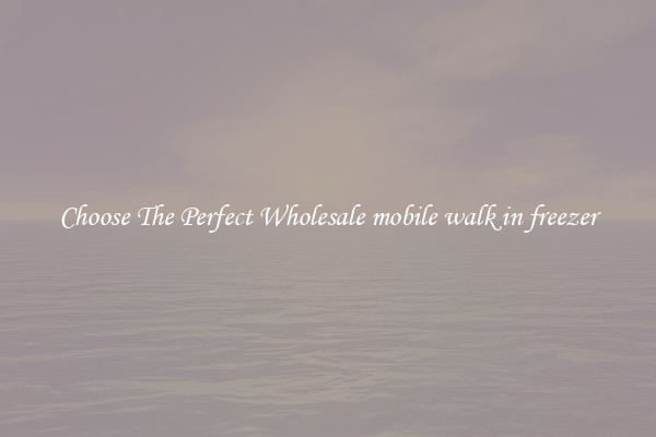 Choose The Perfect Wholesale mobile walk in freezer