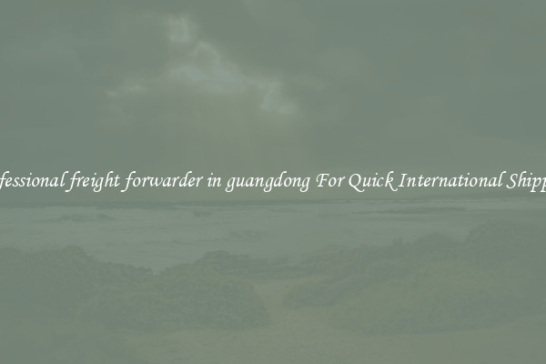 professional freight forwarder in guangdong For Quick International Shipping