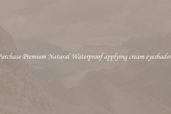 Purchase Premium Natural Waterproof applying cream eyeshadow