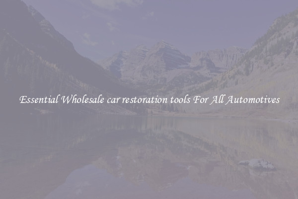 Essential Wholesale car restoration tools For All Automotives