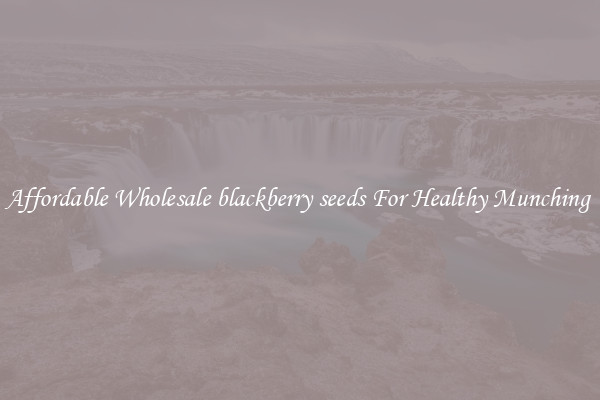 Affordable Wholesale blackberry seeds For Healthy Munching 