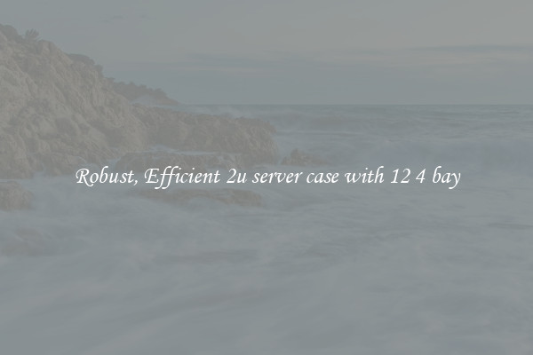 Robust, Efficient 2u server case with 12 4 bay