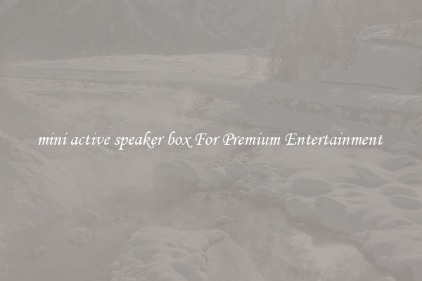 mini active speaker box For Premium Entertainment 