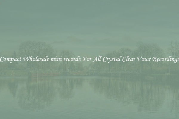 Compact Wholesale mini records For All Crystal Clear Voice Recordings