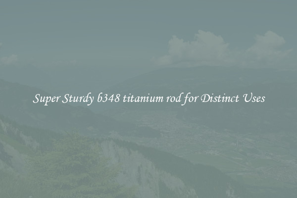 Super Sturdy b348 titanium rod for Distinct Uses