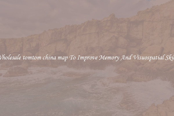 Wholesale tomtom china map To Improve Memory And Visuospatial Skills