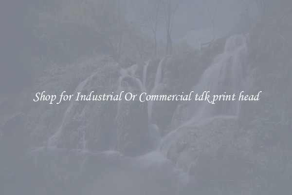 Shop for Industrial Or Commercial tdk print head