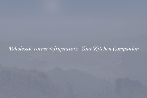 Wholesale corner refrigerators: Your Kitchen Companion