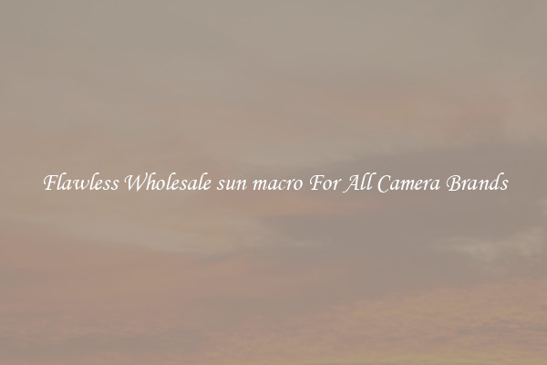 Flawless Wholesale sun macro For All Camera Brands