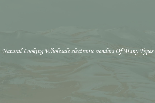 Natural Looking Wholesale electronic vendors Of Many Types