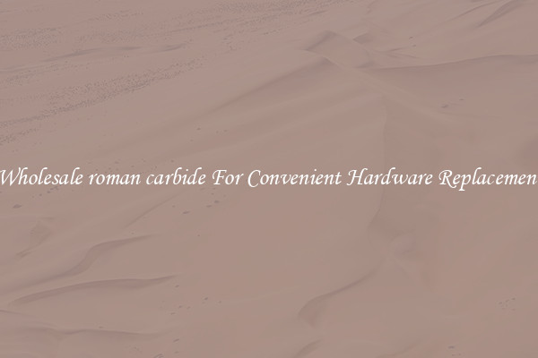 Wholesale roman carbide For Convenient Hardware Replacement