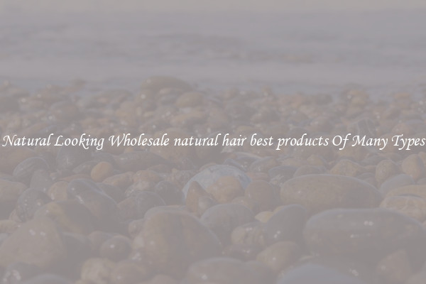 Natural Looking Wholesale natural hair best products Of Many Types