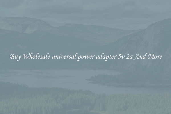 Buy Wholesale universal power adapter 5v 2a And More