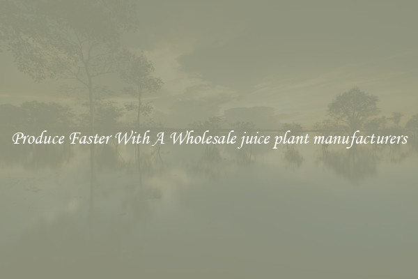 Produce Faster With A Wholesale juice plant manufacturers