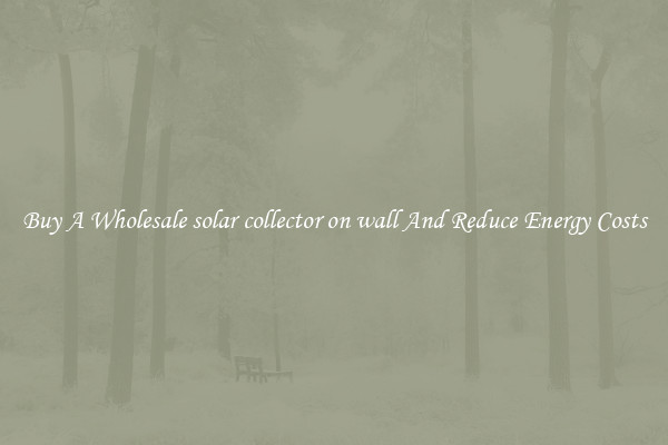 Buy A Wholesale solar collector on wall And Reduce Energy Costs