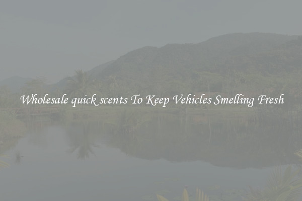 Wholesale quick scents To Keep Vehicles Smelling Fresh