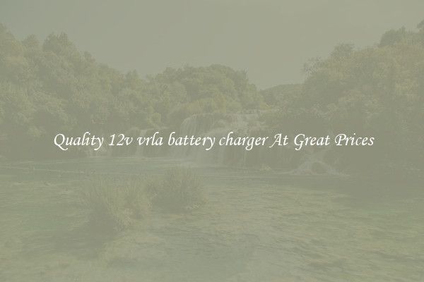 Quality 12v vrla battery charger At Great Prices